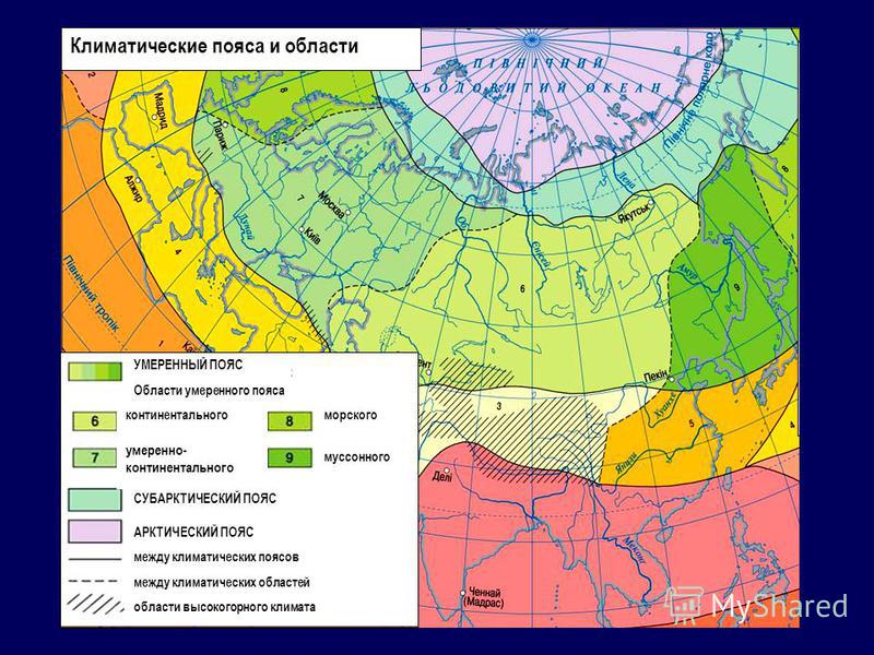 В пределах умеренного климатического пояса выделите. Умеренный пояс климатический пояс и область. Арктический пояс субарктический пояс умеренный пояс. Природные зоны арктического и субарктического поясов карта. Климатические области умеренного пояса России на карте \.
