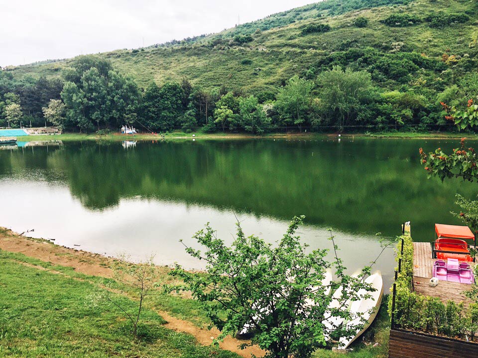 Достопримечательности Тбилиси Черепашье озеро