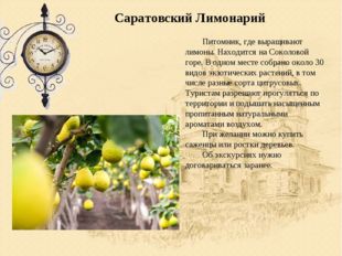 Саратовский Лимонарий 	Питомник, где выращивают лимоны. Находится на Соколово