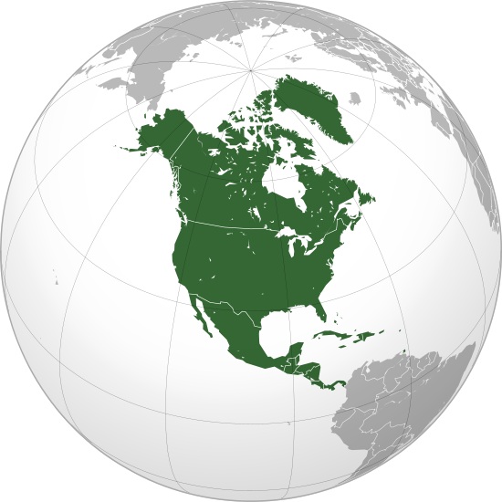 В каком полушарии находится материк Северная Америка