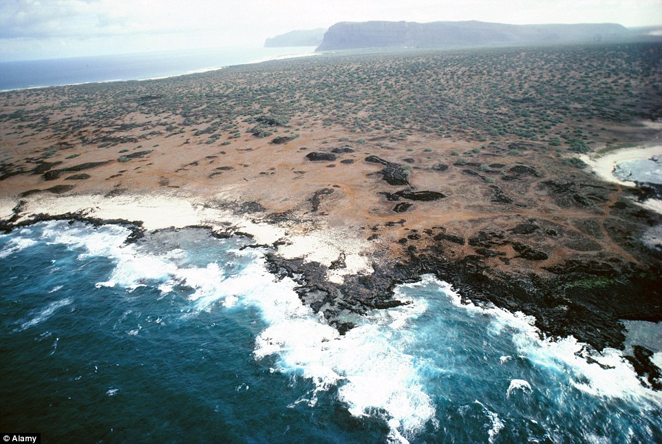 The island of Niihau in Hawaii is home to many rare and endangered regional species, but only relatives of the island