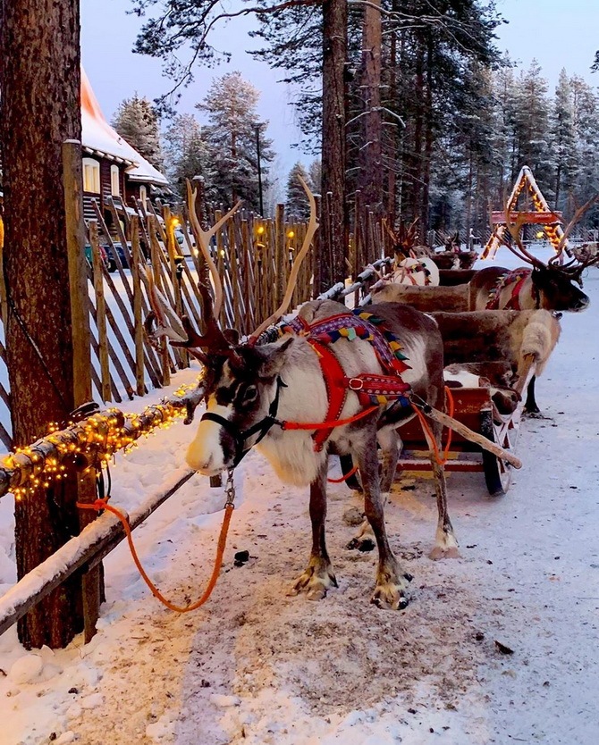 Сказочная Лапландия на новый год