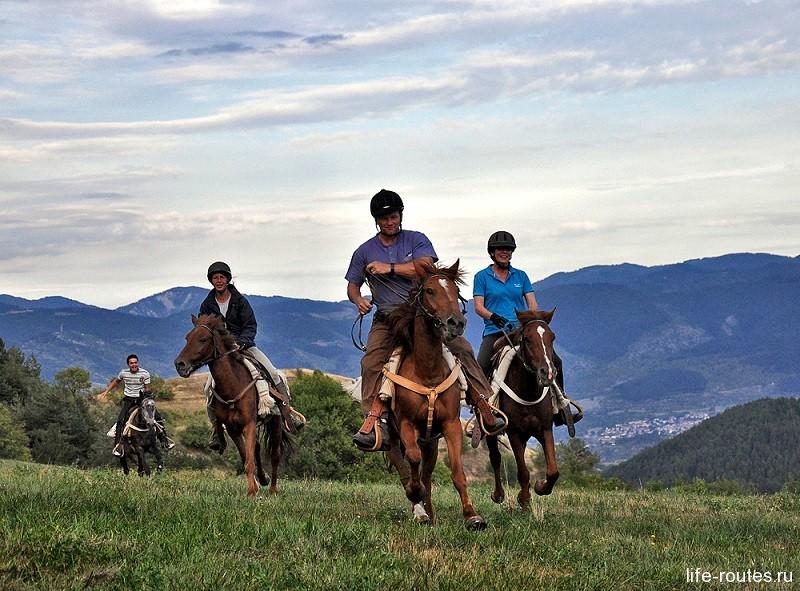 Очень популярны в Греции конные туры