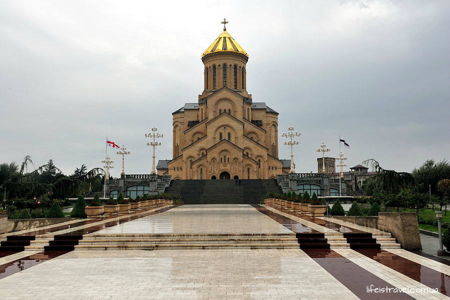 Тбилиси род