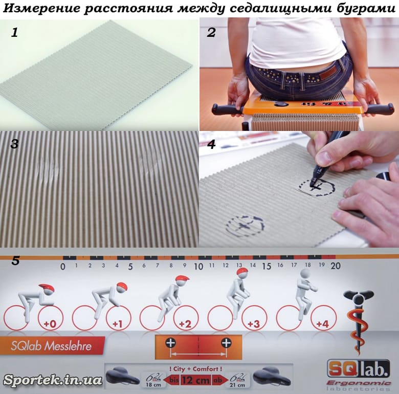 Как измерить расстояние между седалищными буграми