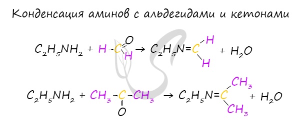 Реакция аминов с альдегидами и кетонами
