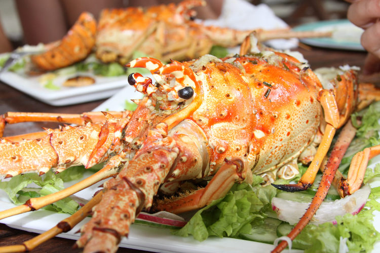 Closeup of delicious grilled lobster