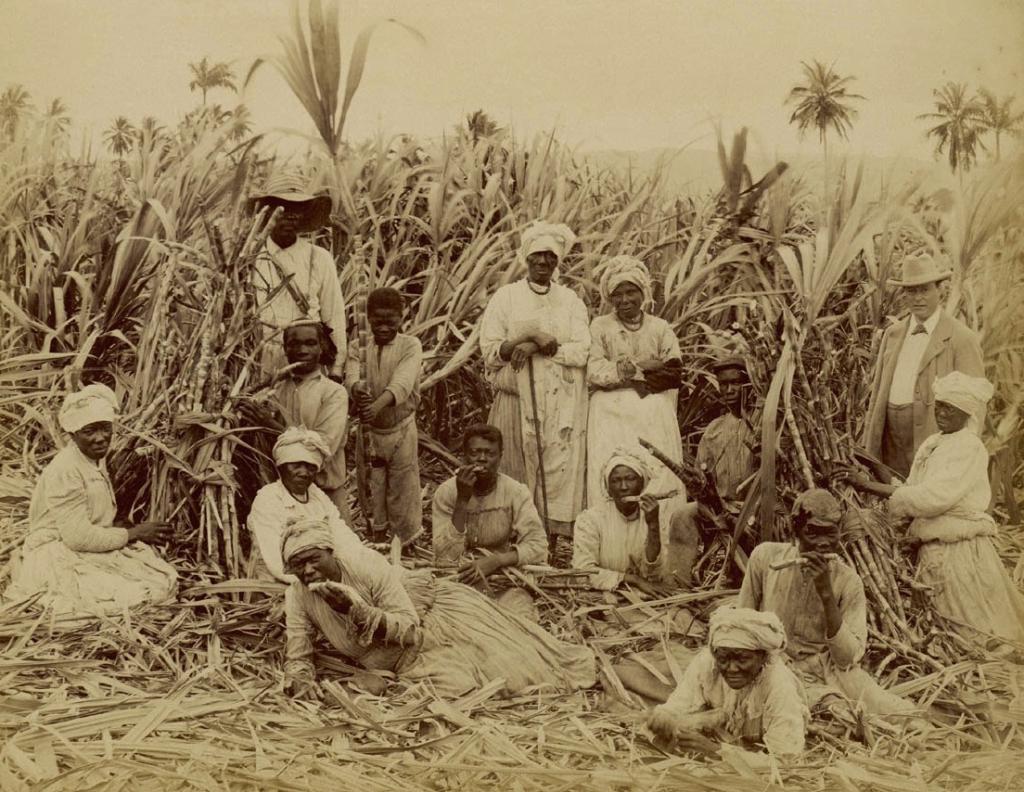 рабы на сахарных плантациях