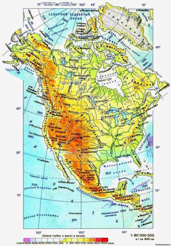 Реферат: Америка Північна Опис материка