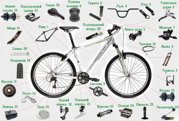 Схема велосипеда с названием деталей для детей